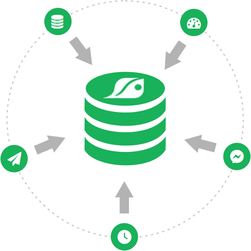 database database
